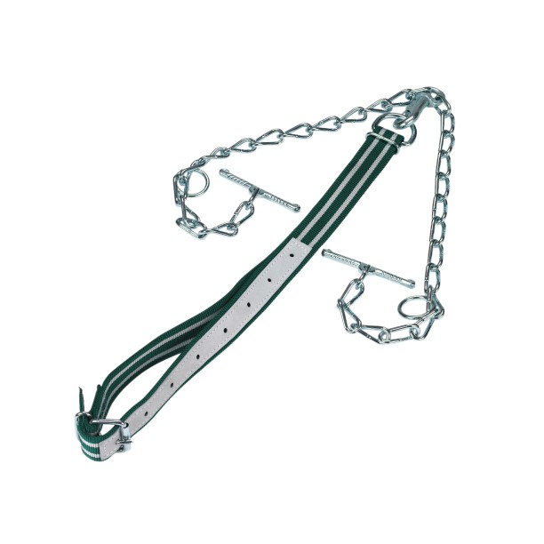 Rinderanbindung »mit 2 Kettenenden und Karabiner«
