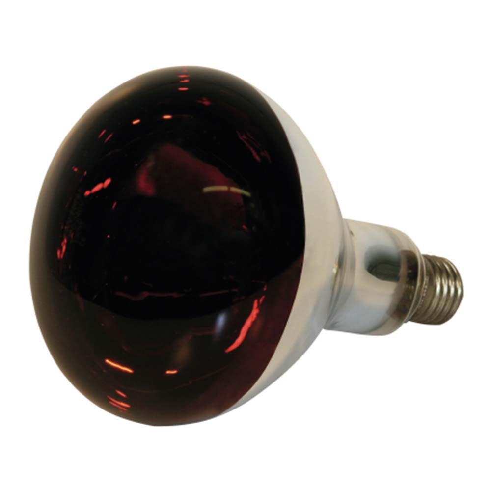 Hartglas-Infrarotlampe