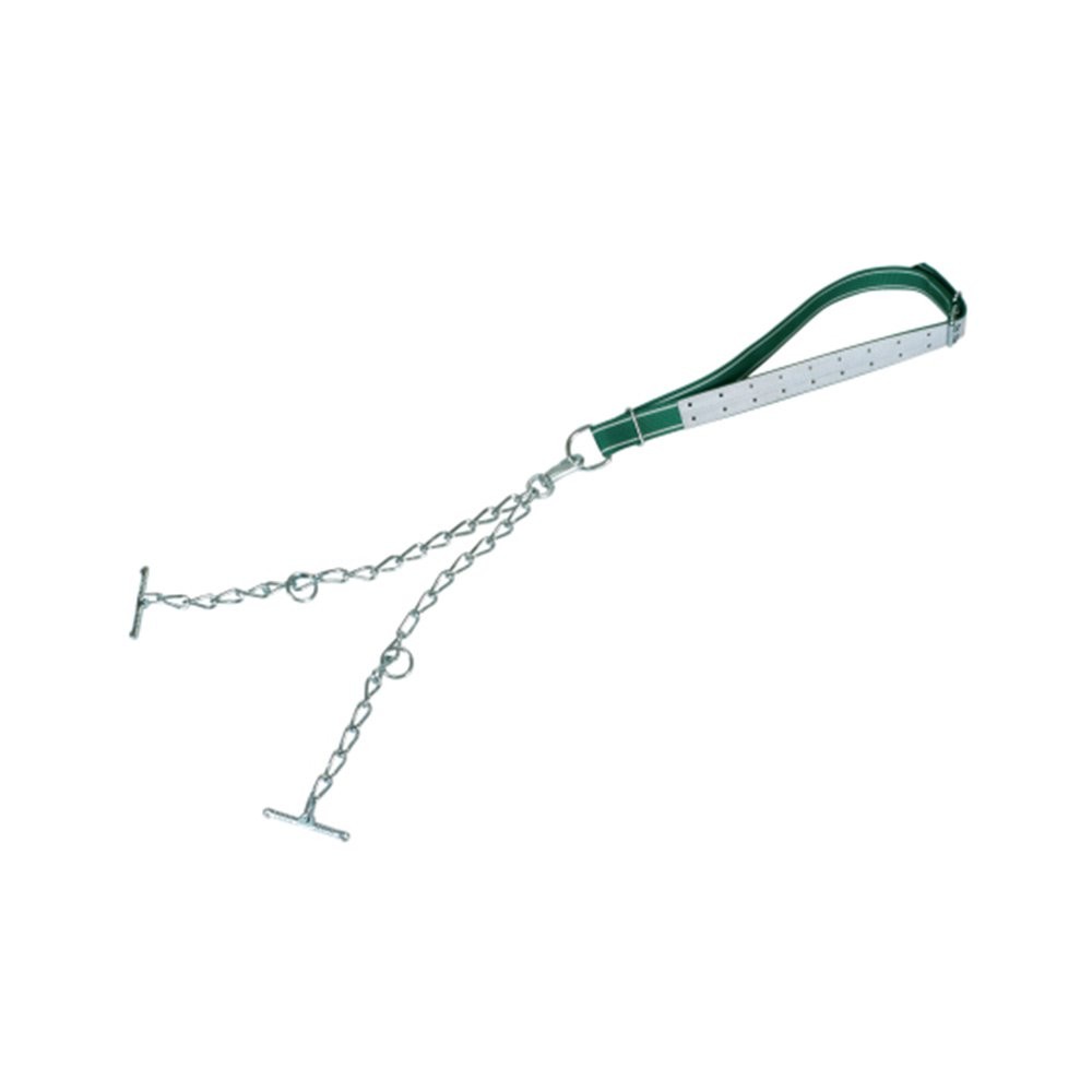 Jungbullen-Anbindung »mit Halsband«