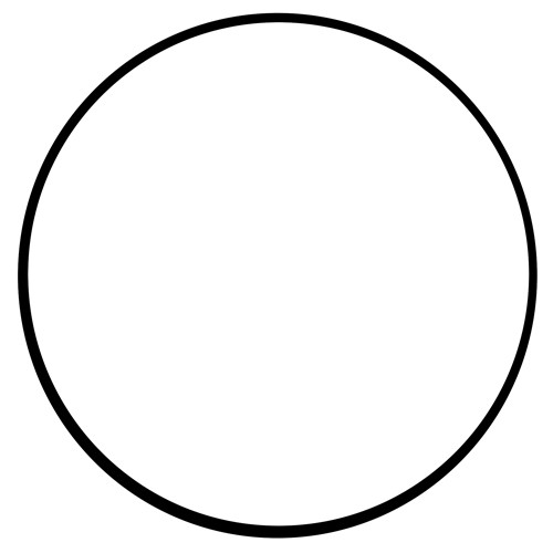 O-Ring für Krümmer neu