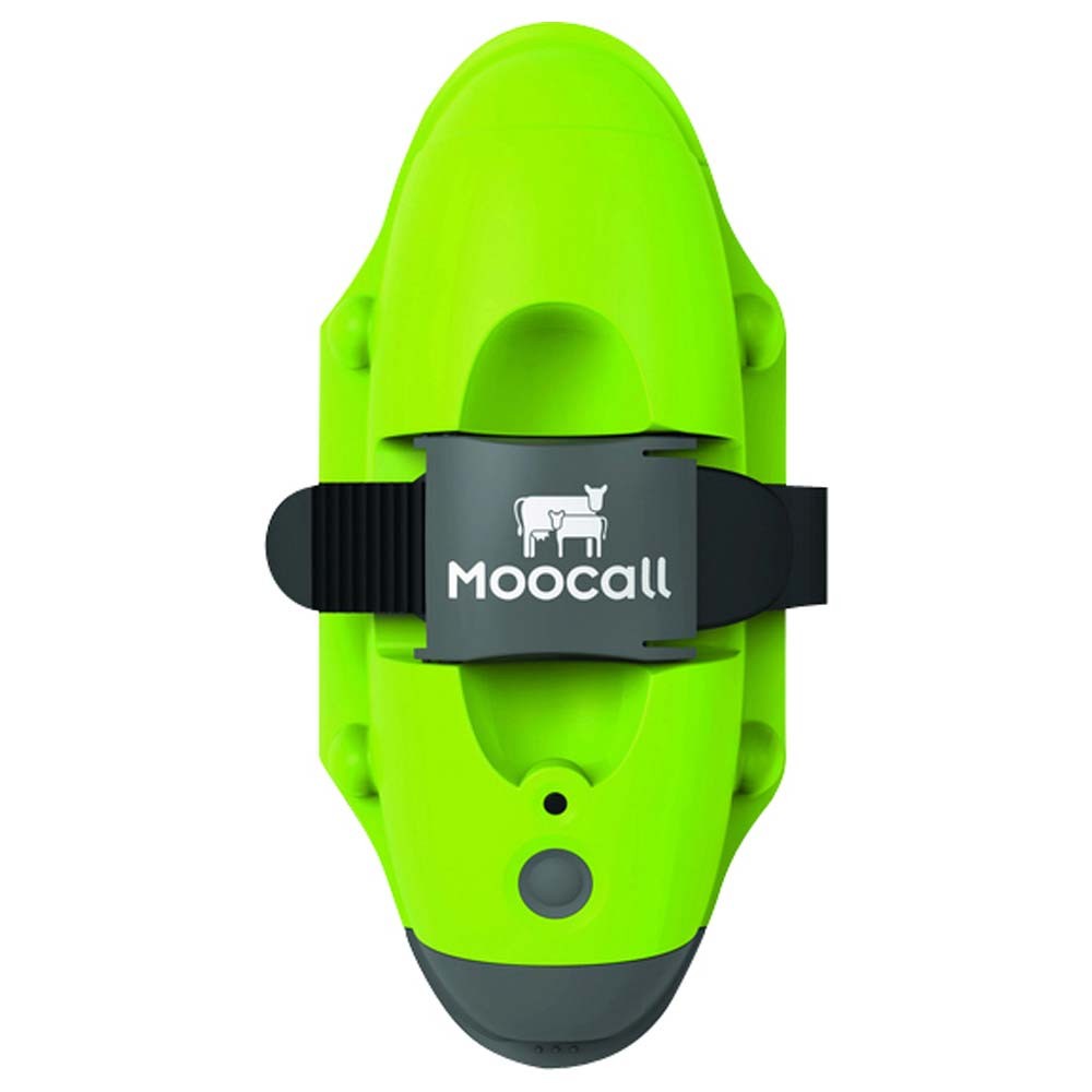 Moocall Abkalbemelder komplett
