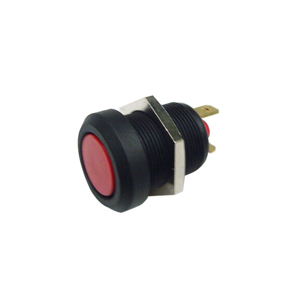 Schalter Drucktaster 12V lose