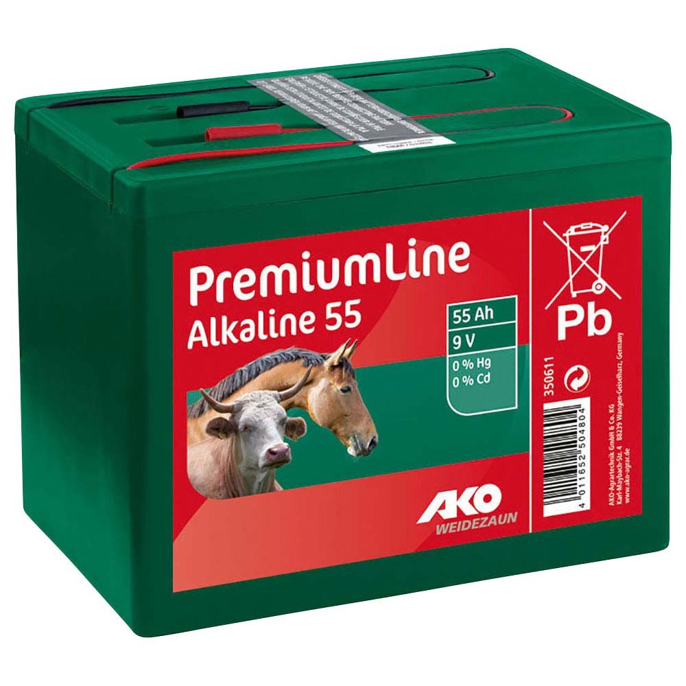 Alkaline 9 Volt Trockenbatterie