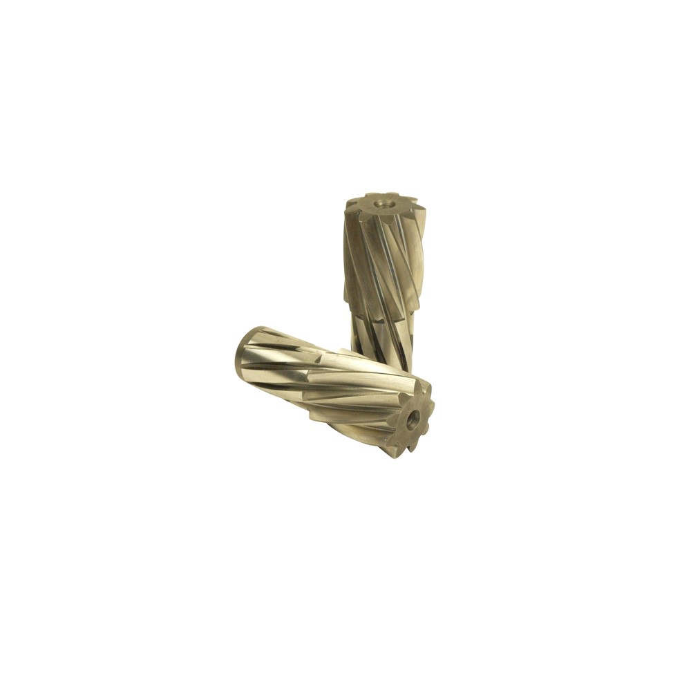 Ritzel für RT80/2-80/1 (Motovario)